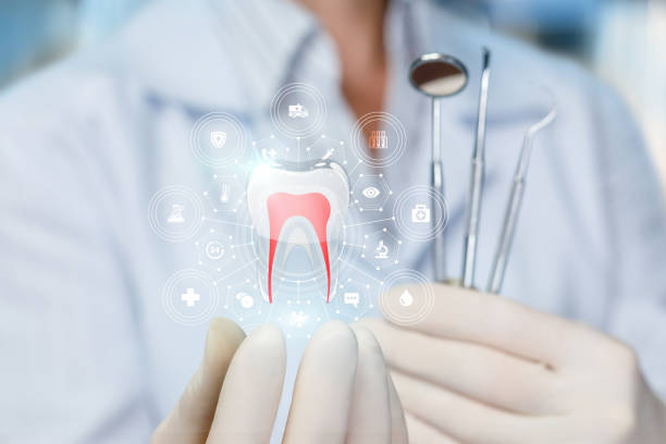 Professional  Holistic Dental Services in Lucas Valley Marinwood, CA